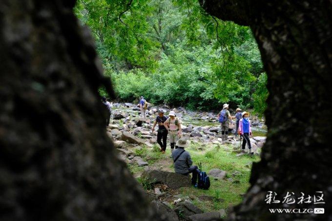 农民放牛时发现古墓,挖出一只“怪兽”,神似《山海经》中的异兽“蛊雕”